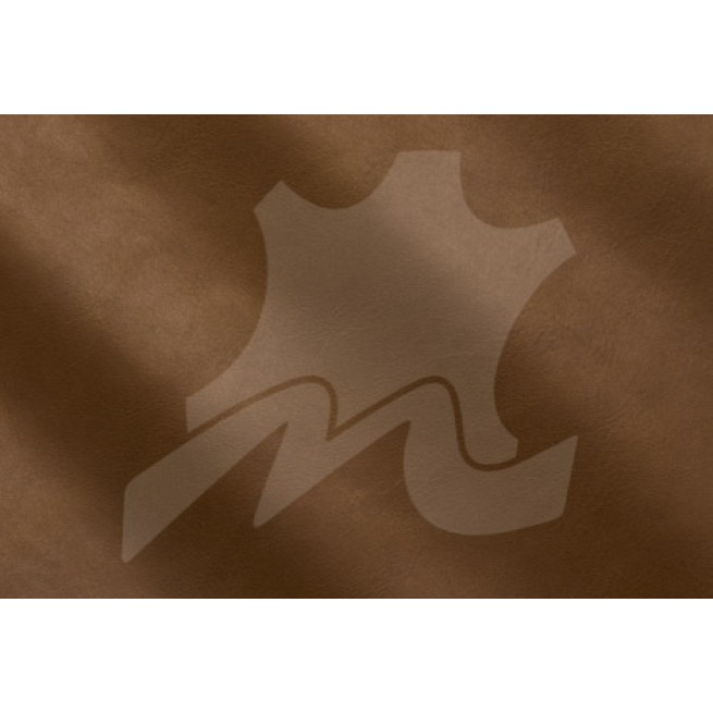 Aligo Group фото